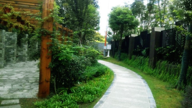 南京立体绿化,南京立体绿化墙,南京屋顶花园,南京屋顶花园装修